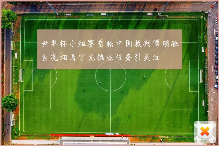 世界杯小组赛首轮中国裁判傅明独自亮相马宁无执法任务引关注